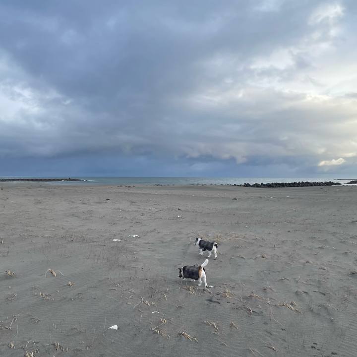 817f82a9 c918 4c71 bc57 e61ee830273b 1772586547341