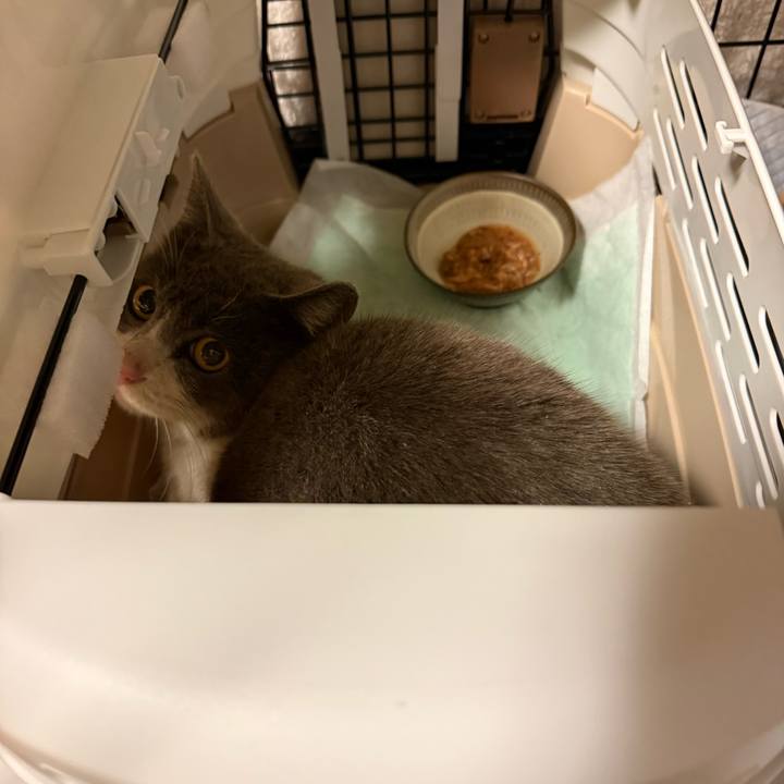 817f8ffa ac65 4ec6 b2a3 232993220e0b 1775511709470