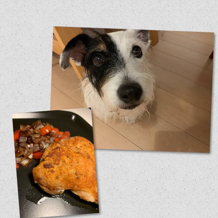 817ffb4f e53f 40bf b64f 23315f1ee2c1 1696070629552