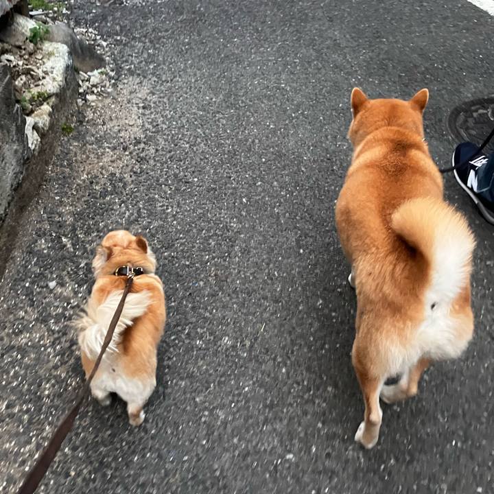 81800051 32ab 4411 b39b f11cd12ca50b 1772794509478