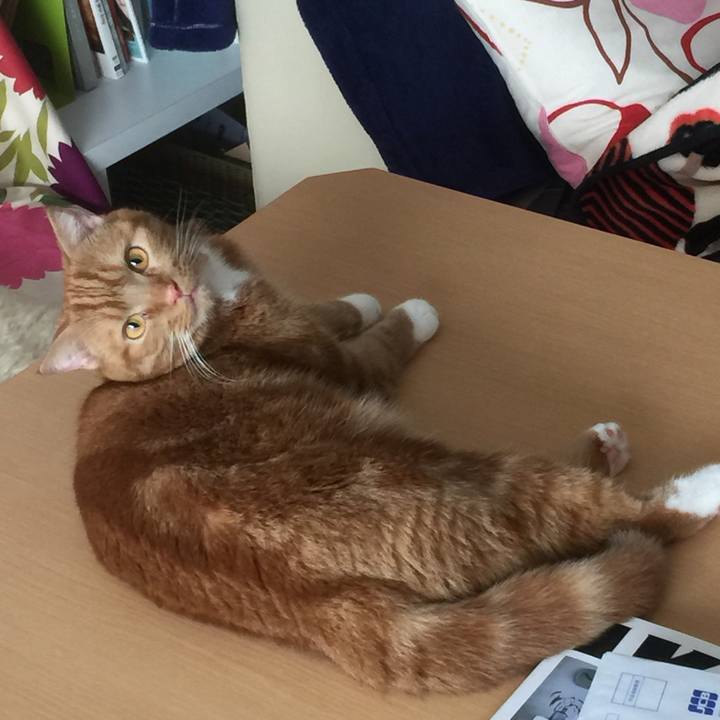 818006fe 0ca2 4173 8a5f da48522451e8 1535414789757