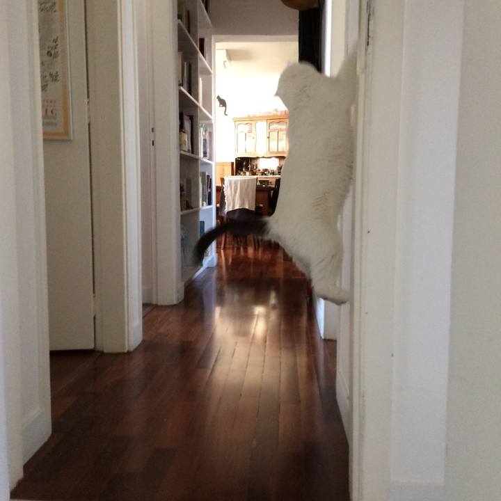 81801570 2a8a 48f6 9e17 bdc77cdd3275 1552508220405