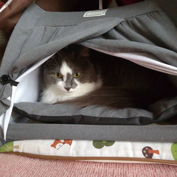 81807c09 43da 4ae8 a05b 98487d809299 1660434394831