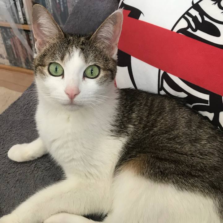 81808ffd b86e 4178 b9a1 4843eec45d84 1624606335186