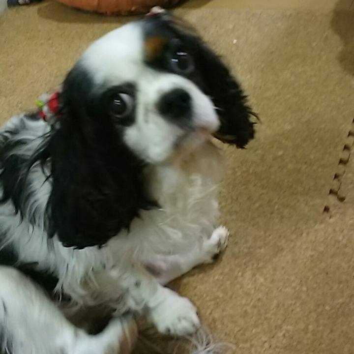 81809713 5e33 4aeb ac2b efce4be9d66e 1537629181430