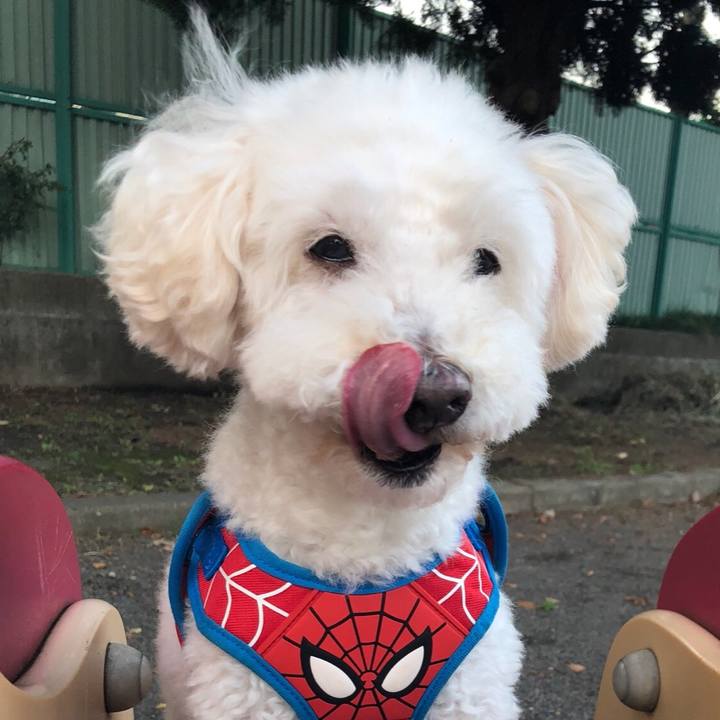 8180b6ce 6d1e 4051 b36c a7c5a69d0131 1538480608744