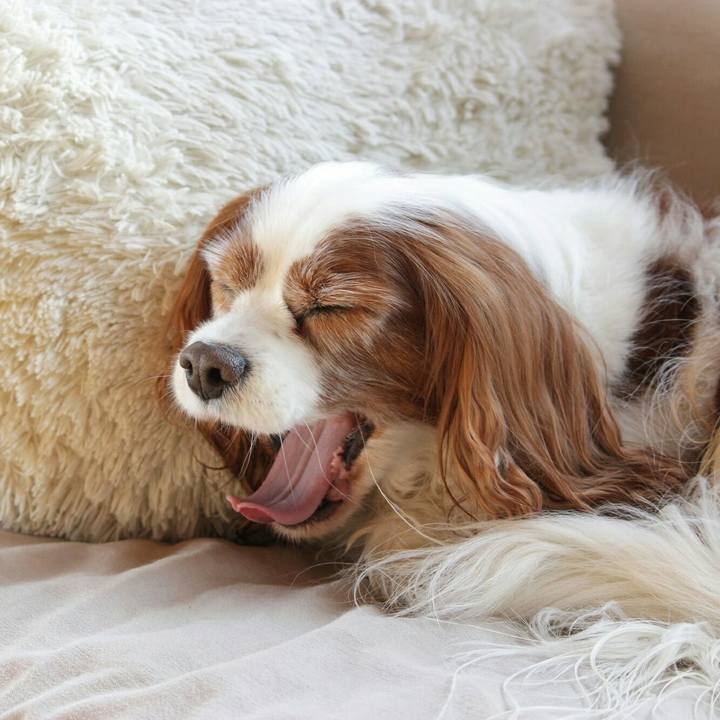 818137be b9f9 48b1 b219 6a02a5620cca 1514592911612