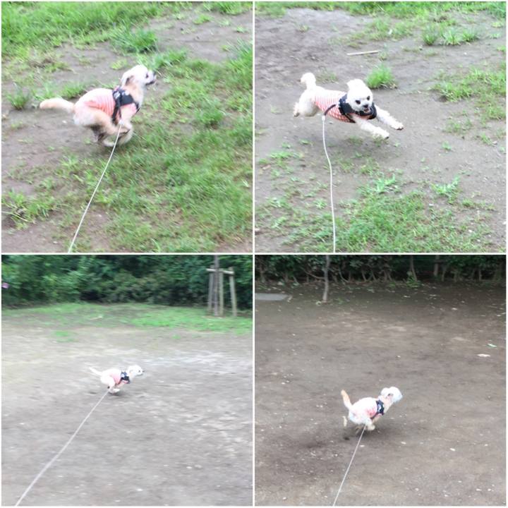 818140e4 dd86 4726 b98e c6eb18c4771e 1563700236130