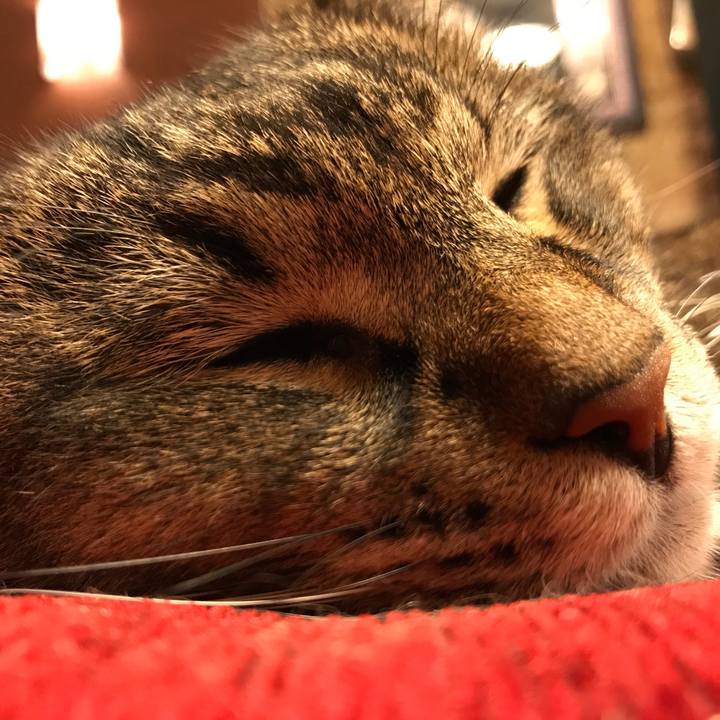 8181a357 bce8 4ba7 bec9 67fe2ab9132a 1510306423290