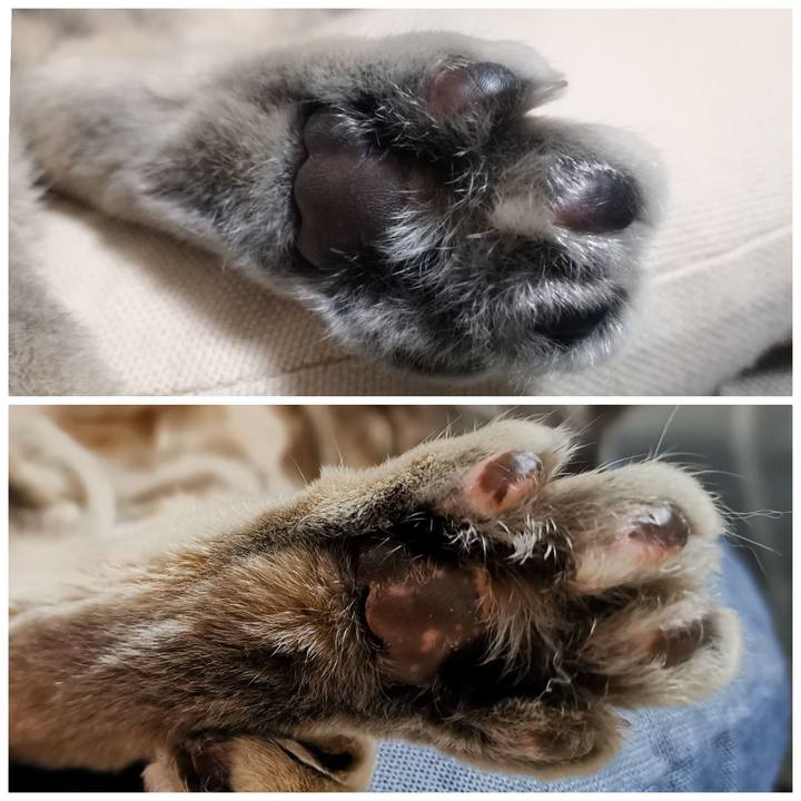 8182228c 5d89 4cc5 8b1f 68ac2bd26798 1646193937450