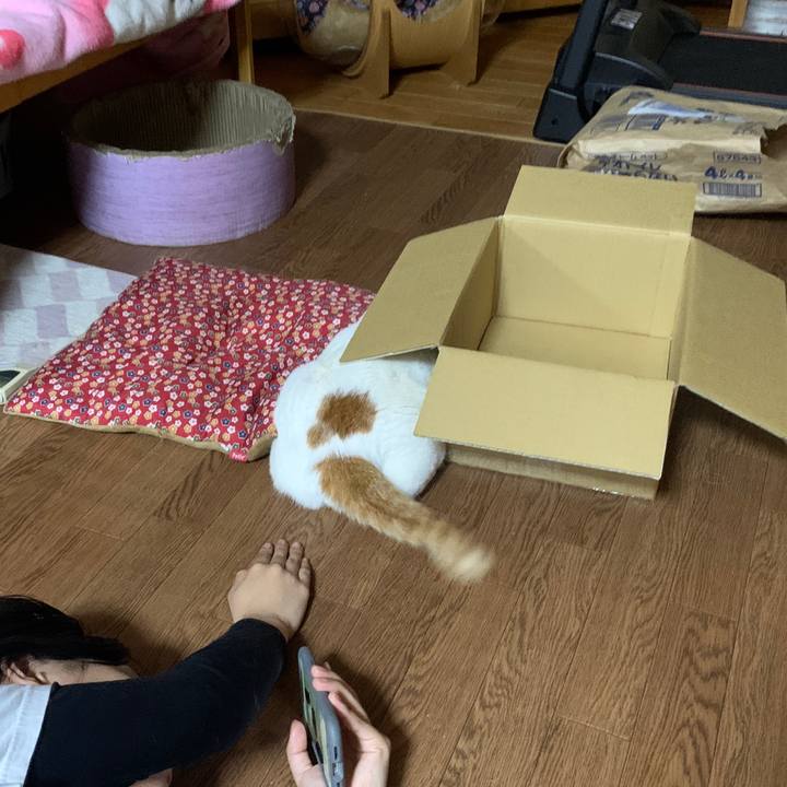 81823e62 9d4f 4f43 adcc 5482f2cd4116 1649505508052