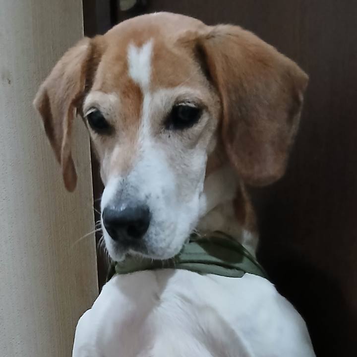 81824738 52fa 4eb4 8777 5fc67a754b63 1769162993003