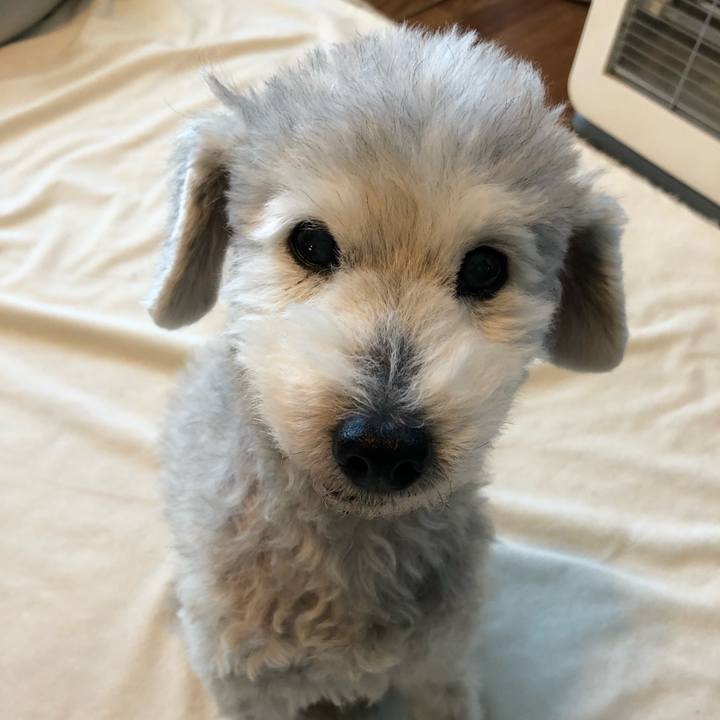 81824c76 3408 4586 9c2c b32df89914e7 1645663295797