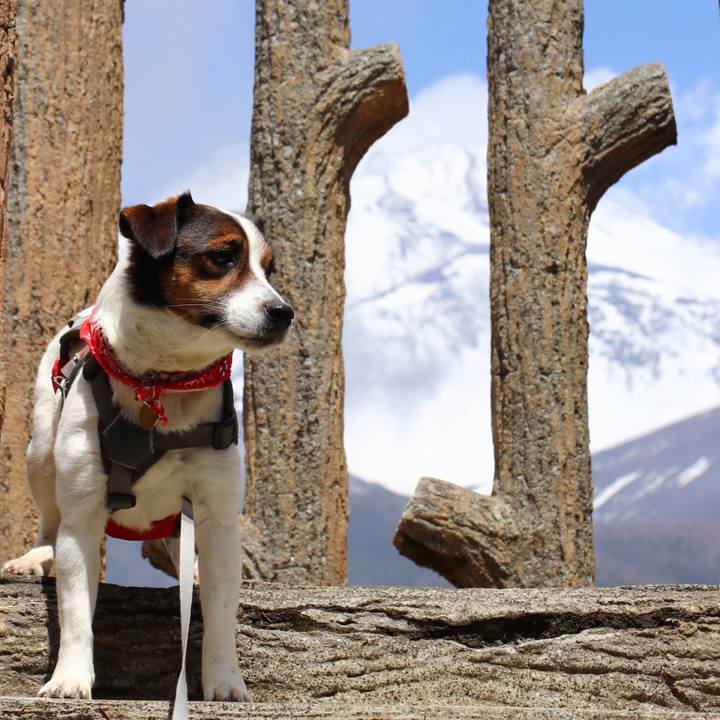 8182b1ec 26d8 4399 b61c 47d38d383bea 1556766227917