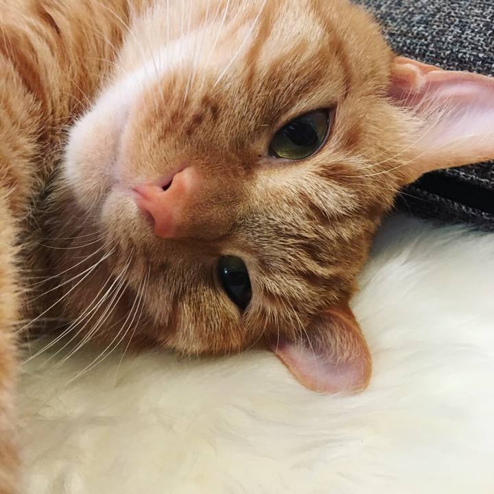 8182b3c1 c30a 492f 88b6 1f9e08d87a6c 1546665412972