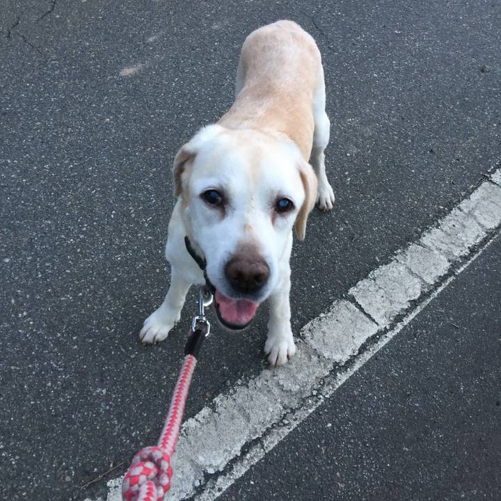 818332da b1ac 45c7 b241 88b4744616e7 1530273960334