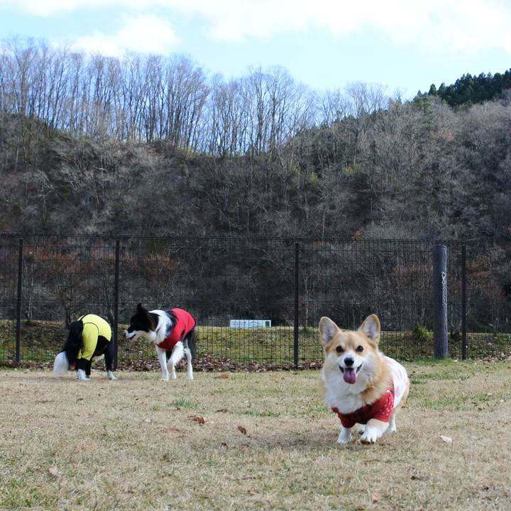 818382c9 0b1e 4065 8850 6f71a113de16 1575804330642