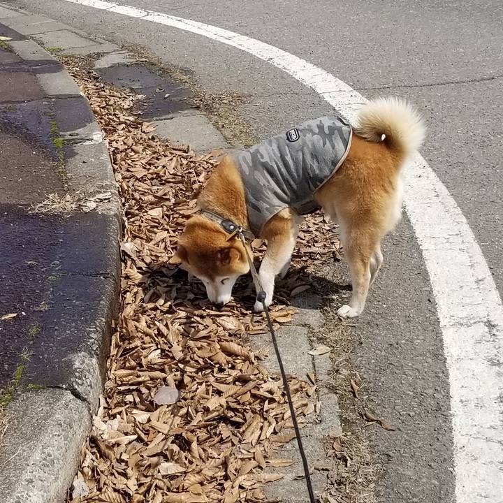 8183d903 bee1 4f52 9ddd f6d4a1388da3 1648105725022