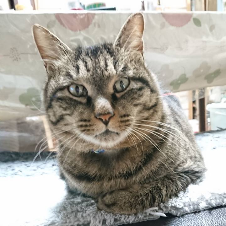 818470aa 994e 4217 a8e3 951a4800d0aa 1642759671001