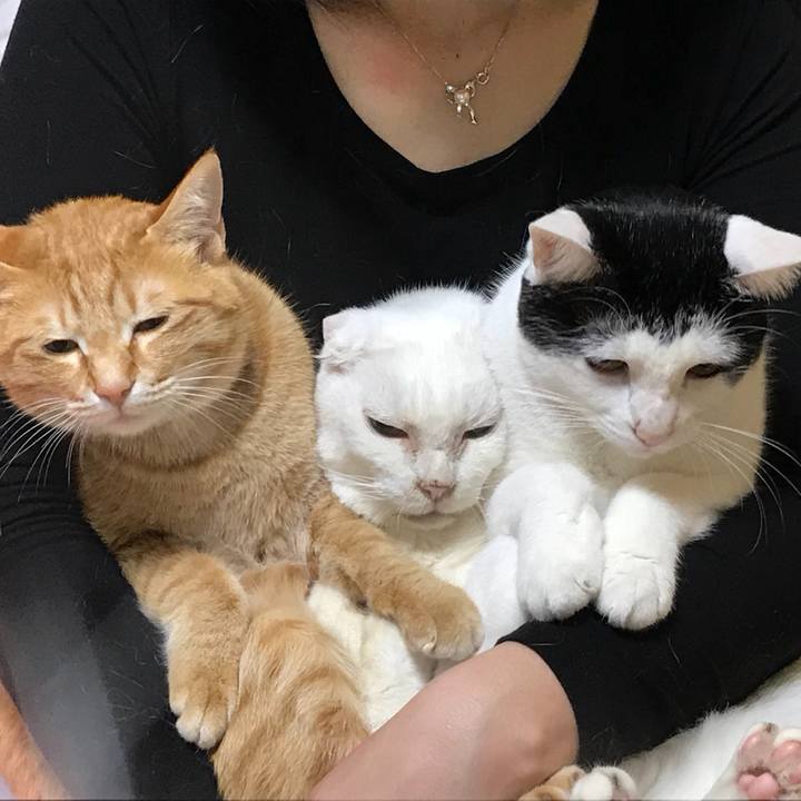 8184920b 48ed 42d9 b477 77cb6e570212 1520173606876