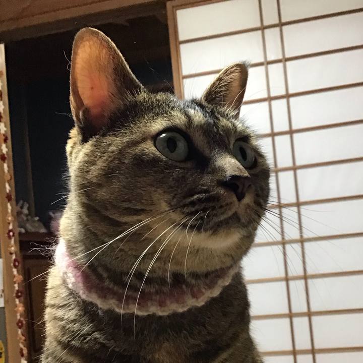 8184b803 9901 416f b509 dde38b440f95 1695899960555