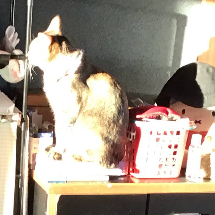 8185257f 87a5 4a51 bd26 d9f05dea181d 1609744791962