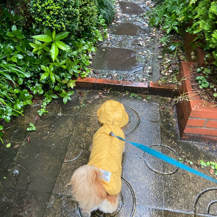 8185320e 897e 4a81 a49e 59cb5e3b6acf 1594678166118