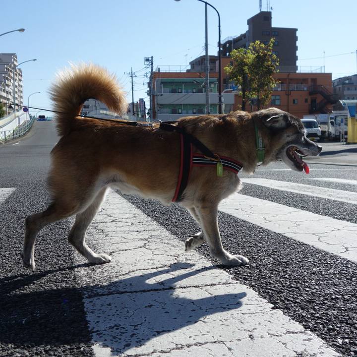 81856af7 20c0 4938 af00 511318b4a3b1 1570234969590