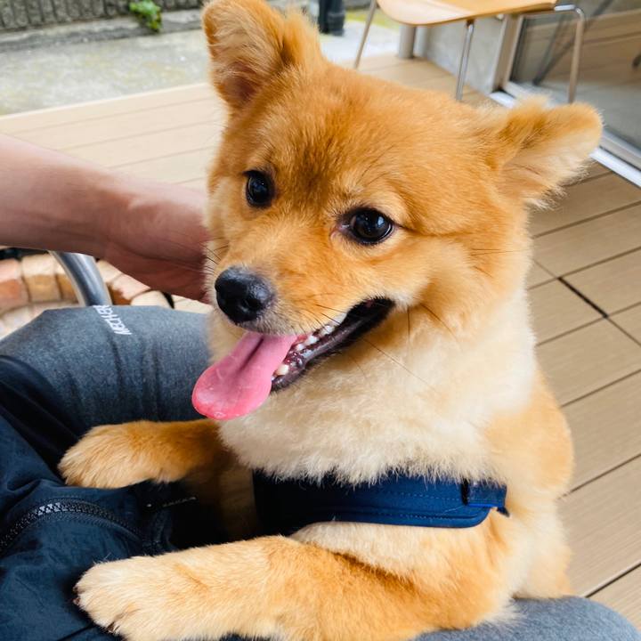 81857a1b 15cb 4563 b6ac e66a7b65278a 1593251326212