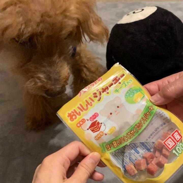 8185c314 0669 48ea a5dd e925b14c5abc 1562056913096