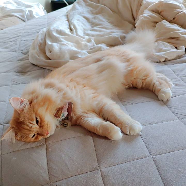 8185c70b 5701 460d bade 28beacd278ed 1723505589833