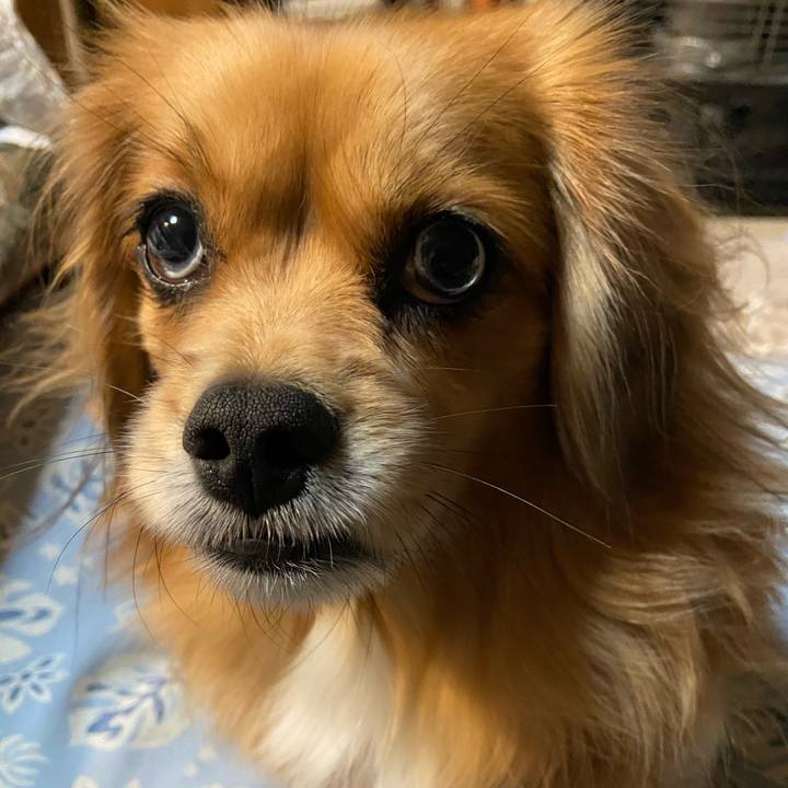 81860736 4ba7 43c9 90ec 6a0aa679caa2 1607116196214