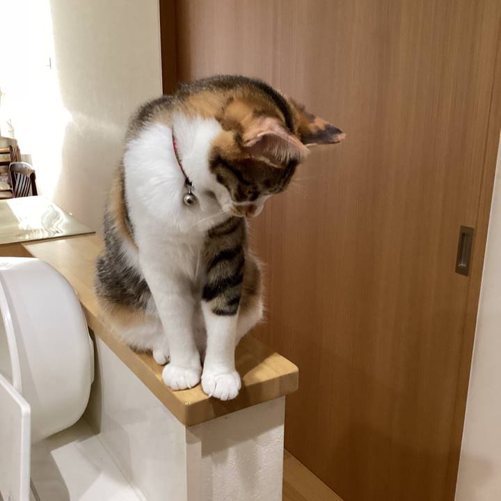 81861948 d08a 4962 931b 4af6bf1d813c 1648337353279