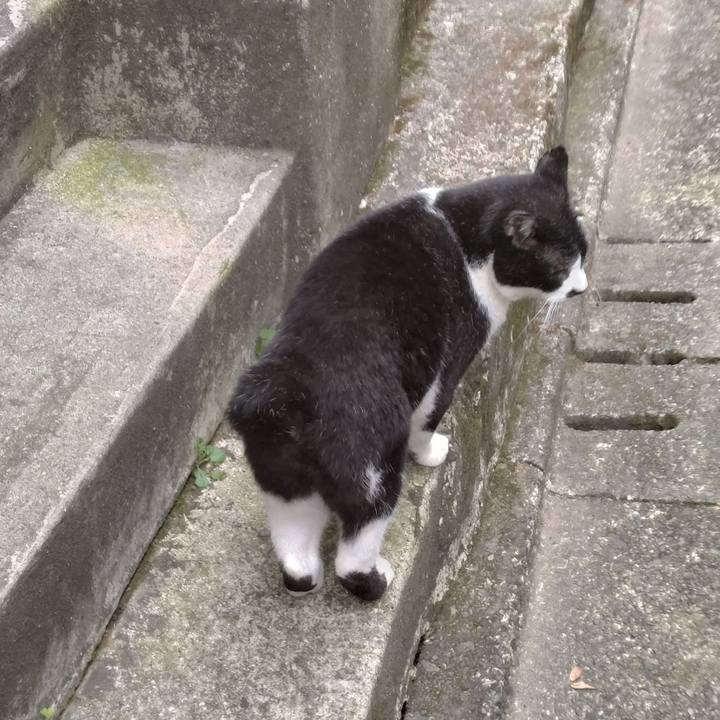 81866fb1 2f0e 41a3 8084 88c5bcbae370 1699571696902