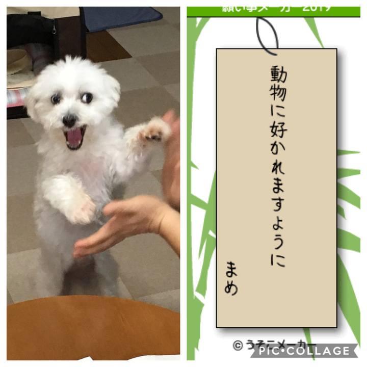 8186860f 9a72 48e4 bcd7 90de9503d5be 1562587030743