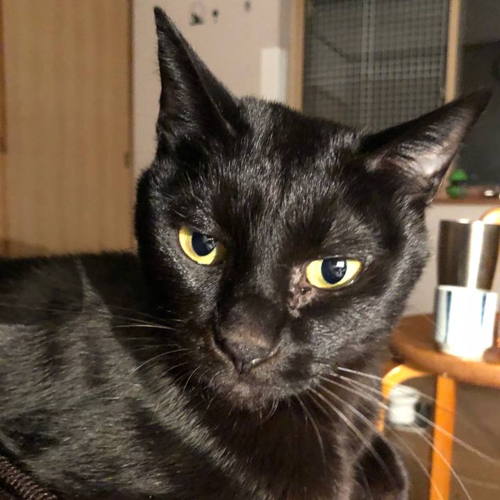 8186b0d8 5135 4cca 9ffd 2db63a8e2014 1666529901766