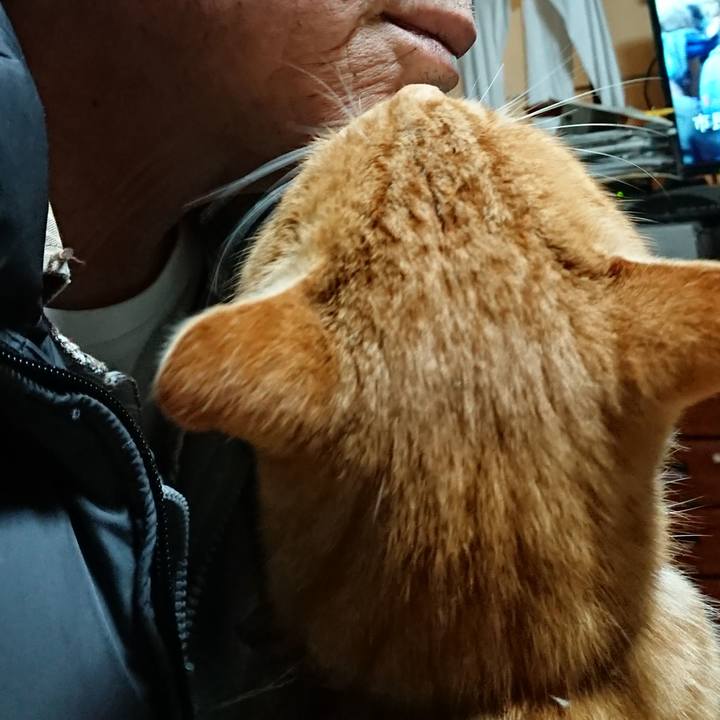 8186ba9b 86ae 4689 96d4 69372b1f4555 1608412074385