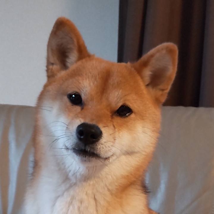 8186e7fb ee79 49a0 8ba4 623fbd7e8cad 1645224679299