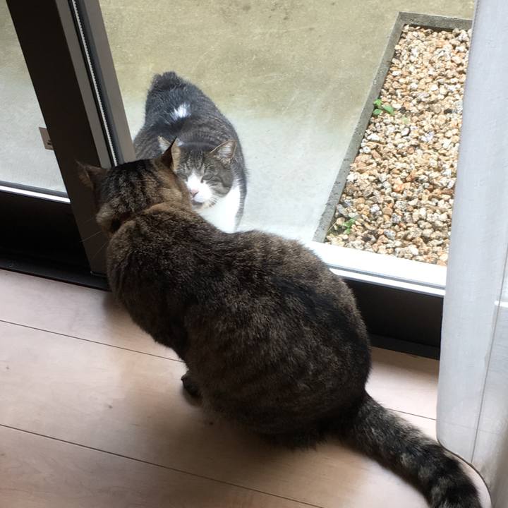 818708df 72c5 41c1 88f1 0691b52d1f1b 1545453293754