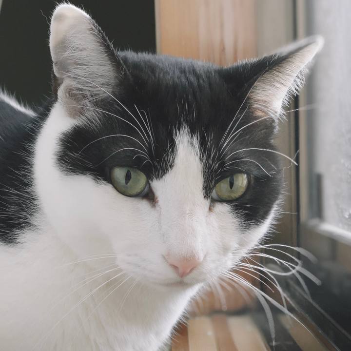 818728f9 f5ea 4c99 b97c fabf90062617 1554774519346