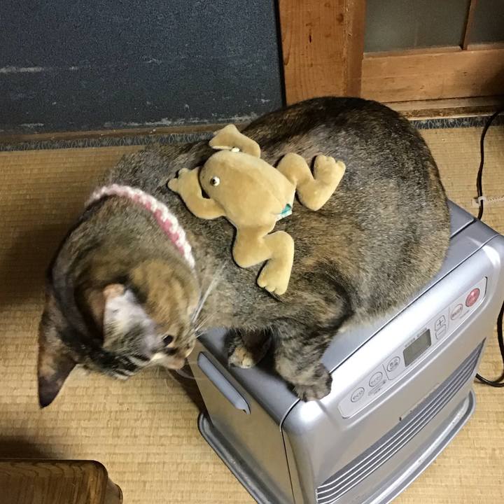 81872942 84b9 4658 8fcc ec0f93039b8d 1674565131555