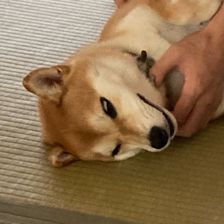 81873c20 80f6 4433 b63d 53bbbc3a1d45 1660525503916