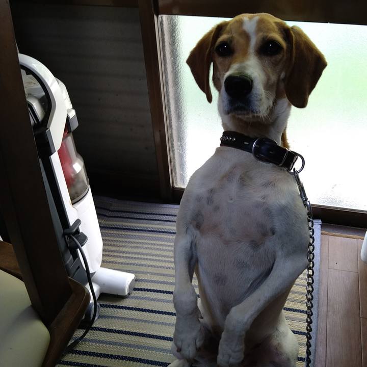 8187637b ef06 4ce3 b118 b99d23d819c2 1659171408808