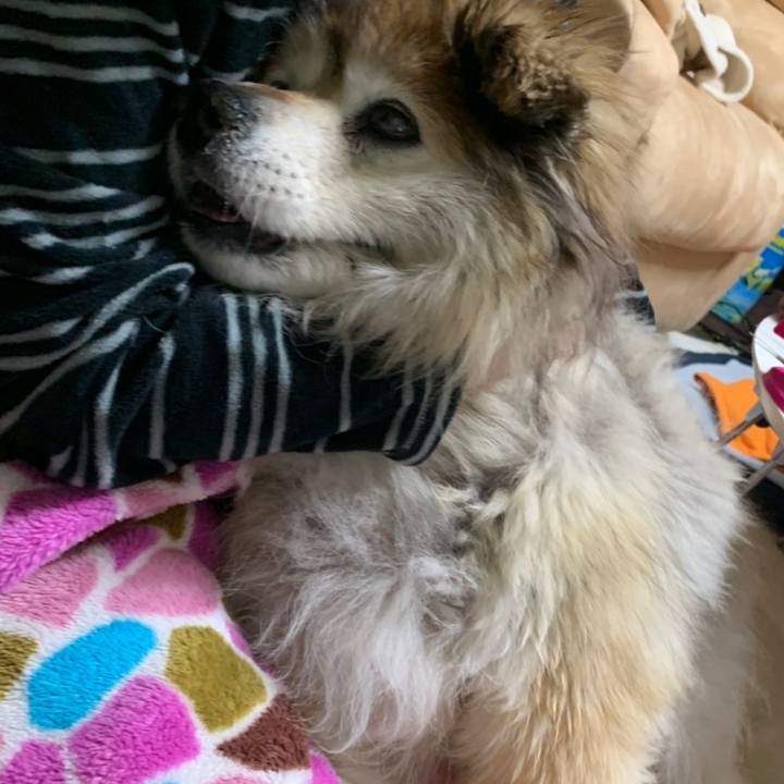 81877ac1 c2f3 4874 a845 4edcb135a647 1585449621009