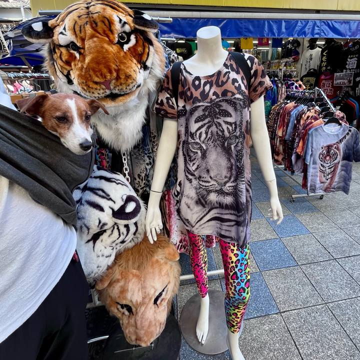 818796a7 ed4b 422b a006 4a8e3e78c4c7 1699163514555