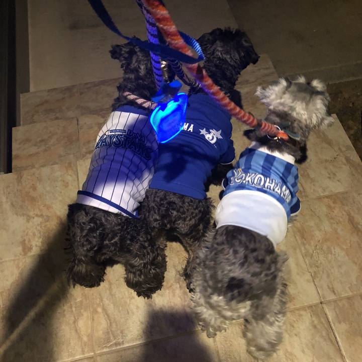 81879d0e 16c3 45a6 8d86 e29e81b212c5 1535633833127