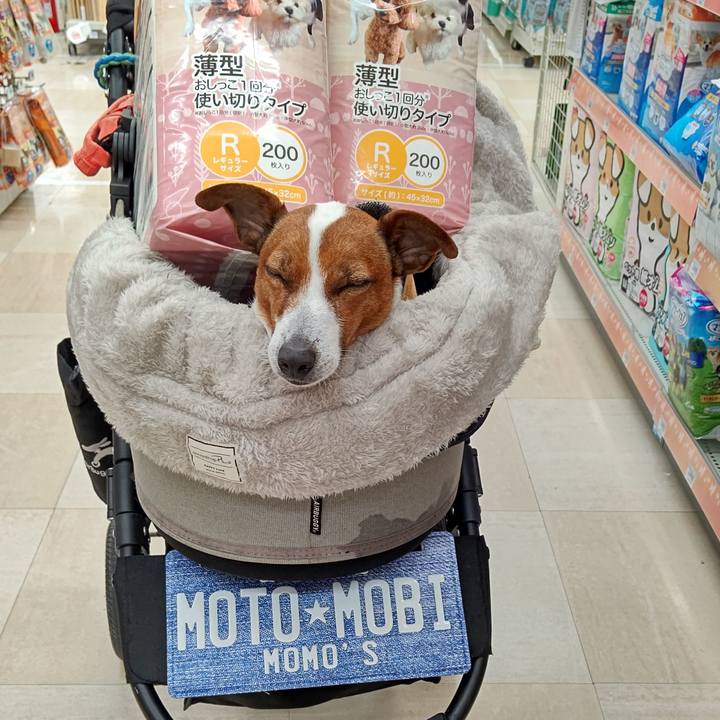 8187b58f 62b2 445d bb31 a88873af9467 1676209265069