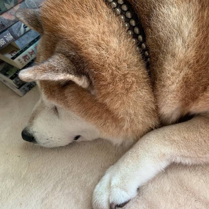 8188013a 50f1 4bde 8964 072defe25d52 1603784043000