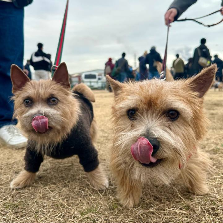 818803d5 3caf 4891 bca1 9b4d0310f7a7 1737333120366