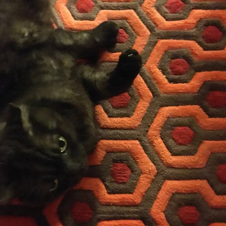 81881316 93ab 4ee9 8f03 3046ad074d8d 1560271409490